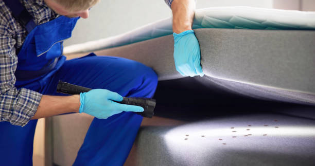 Best Pest Control Near Me  in Lamar, CO
