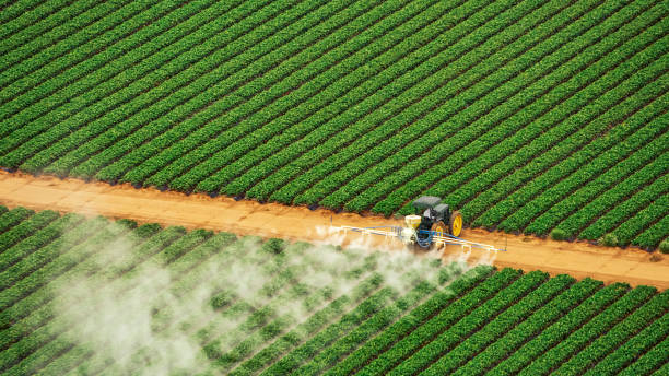 Pest Control Cost in Lamar, CO