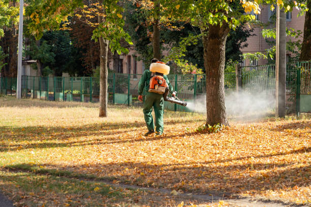 Reliable Lamar, CO Pest Control Solutions