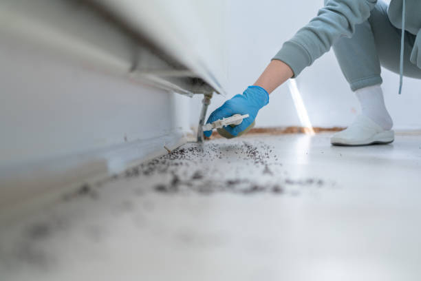 Best Cockroach Control Services  in Lamar, CO